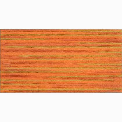 Cosmo Seasons Embroidery Floss - 5008