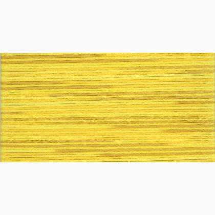 Cosmo Seasons Embroidery Floss - 5009