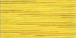 Cosmo Seasons Embroidery Floss - 5009