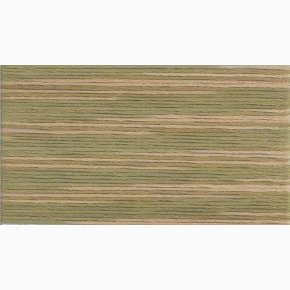 Cosmo Seasons Embroidery Floss - 5011