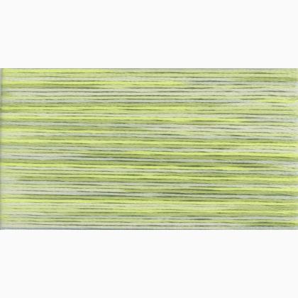 Cosmo Seasons Embroidery Floss - 5013