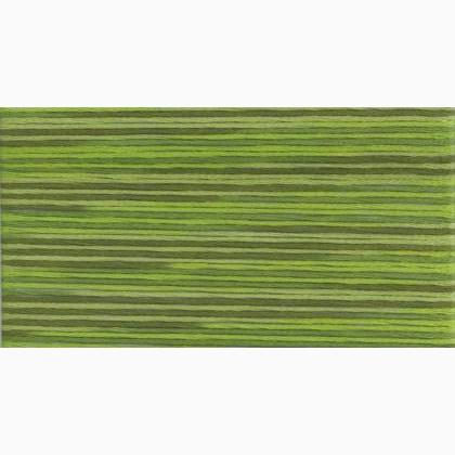Cosmo Seasons Embroidery Floss - 5014
