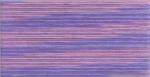 Cosmo Seasons Embroidery Floss - 5024