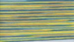 Cosmo Seasons Embroidery Floss - 5035