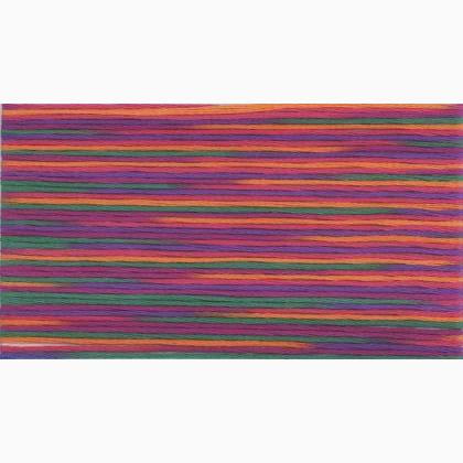 Cosmo Seasons Embroidery Floss - 5038