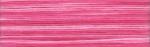 Cosmo Seasons Embroidery Floss - 8008