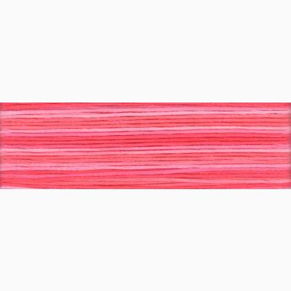 Cosmo Seasons Embroidery Floss - 8010