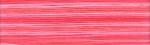 Cosmo Seasons Embroidery Floss - 8010