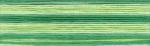 Cosmo Seasons Embroidery Floss - 8012