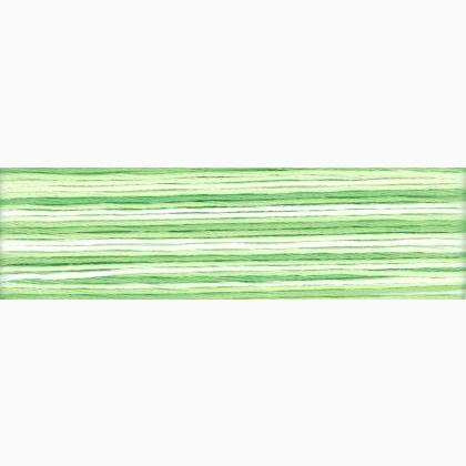 Cosmo Seasons Embroidery Floss - 8013