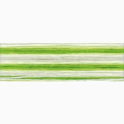 Cosmo Seasons Embroidery Floss - 8015