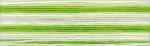 Cosmo Seasons Embroidery Floss - 8015