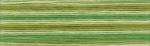 Cosmo Seasons Embroidery Floss - 8016