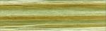 Cosmo Seasons Embroidery Floss - 8018