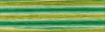 Cosmo Seasons Embroidery Floss - 8019