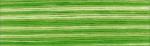 Cosmo Seasons Embroidery Floss - 8021