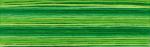 Cosmo Seasons Embroidery Floss - 8022