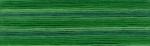 Cosmo Seasons Embroidery Floss - 8024