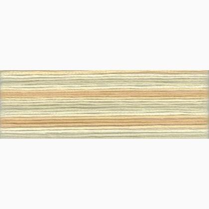 Cosmo Seasons Embroidery Floss - 8030