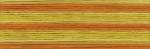 Cosmo Seasons Embroidery Floss - 8033