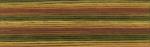 Cosmo Seasons Embroidery Floss - 8037