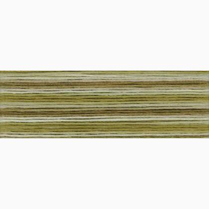 Cosmo Seasons Embroidery Floss - 8040