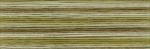 Cosmo Seasons Embroidery Floss - 8040