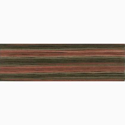 Cosmo Seasons Embroidery Floss - 8041
