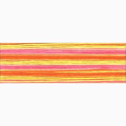Cosmo Seasons Embroidery Floss - 8046