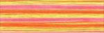 Cosmo Seasons Embroidery Floss - 8046