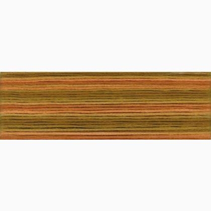 Cosmo Seasons Embroidery Floss - 8048
