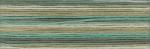 Cosmo Seasons Embroidery Floss - 8049