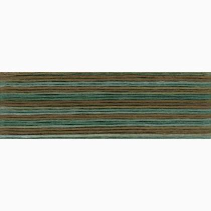 Cosmo Seasons Embroidery Floss - 8050