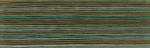 Cosmo Seasons Embroidery Floss - 8050