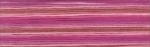 Cosmo Seasons Embroidery Floss - 8061