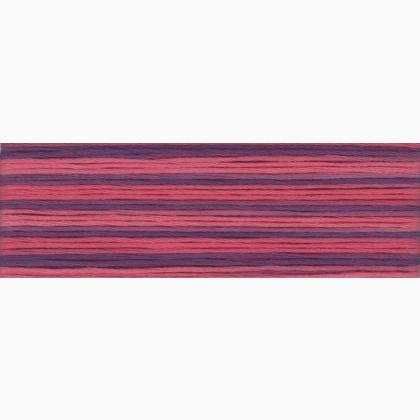 Cosmo Seasons Embroidery Floss - 8062