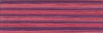 Cosmo Seasons Embroidery Floss - 8062