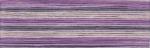 Cosmo Seasons Embroidery Floss - 8063