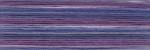 Cosmo Seasons Embroidery Floss - 8066