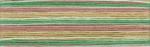 Cosmo Seasons Embroidery Floss - 8073
