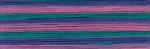 Cosmo Seasons Embroidery Floss - 8074