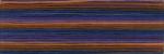 Cosmo Seasons Embroidery Floss - 8078