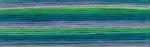 Cosmo Seasons Embroidery Floss - 8079