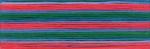 Cosmo Seasons Embroidery Floss - 8080