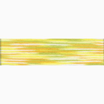 Cosmo Seasons Embroidery Floss - 9004