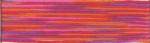 Cosmo Seasons Embroidery Floss - 9018