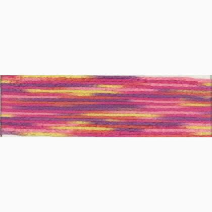 Cosmo Seasons Embroidery Floss - 9020