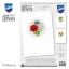 Greeting Cards: Field Flowers - Set of 3