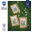 Field flowers - set of 3
