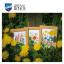 Field flowers - set of 3